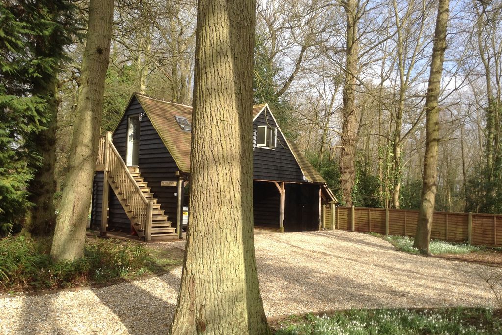 The Treehouse 3 - Gallery