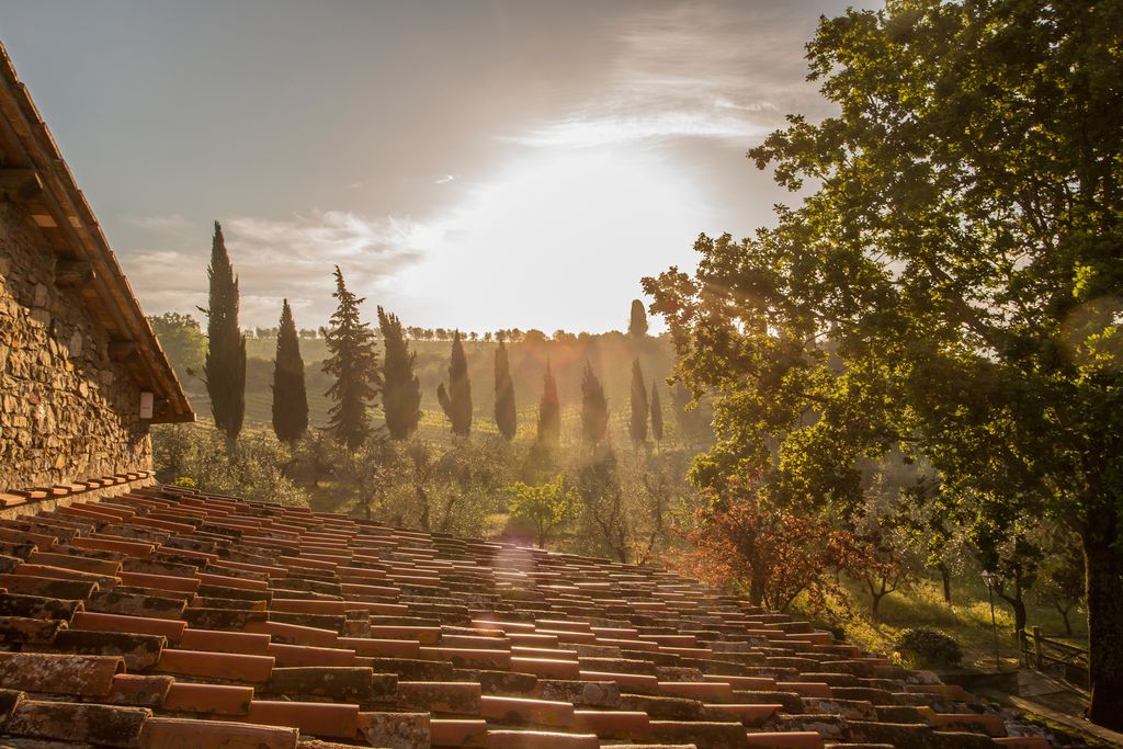 Agriturismo Il Palagio di Panzano 20 - Gallery