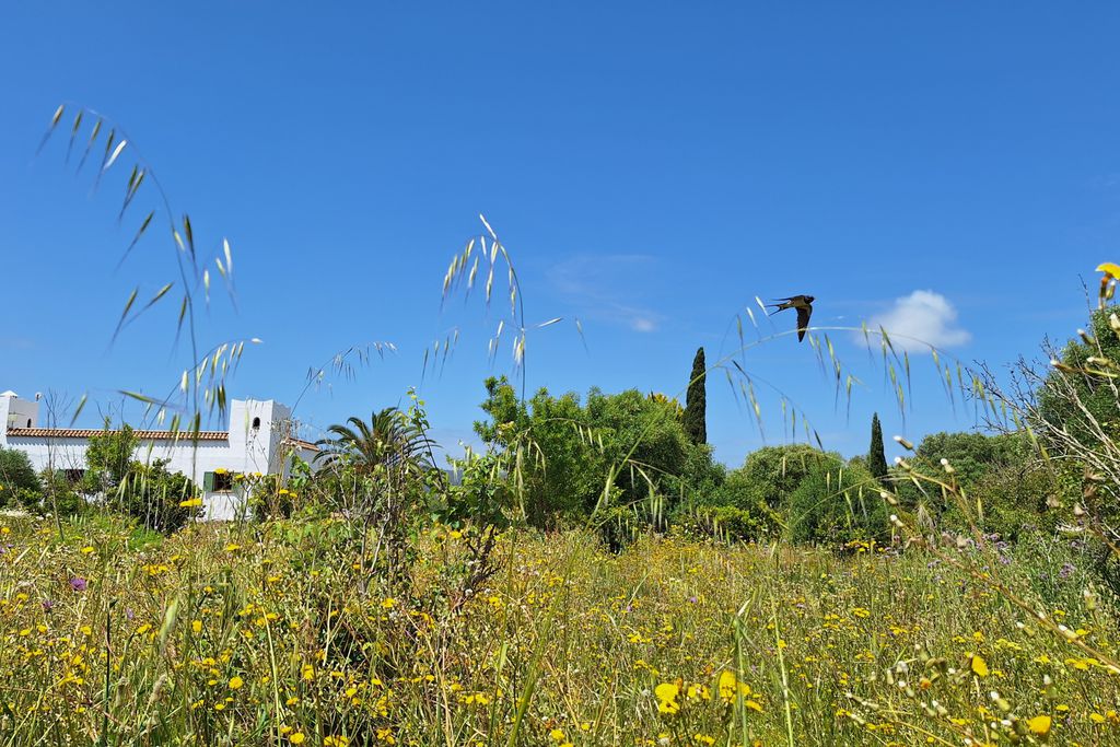 Finca El Sueño 6 - Gallery