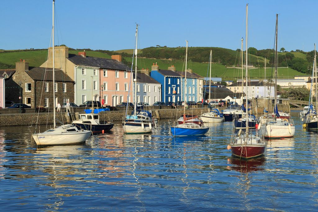 Nyth Fach 14 - Gallery