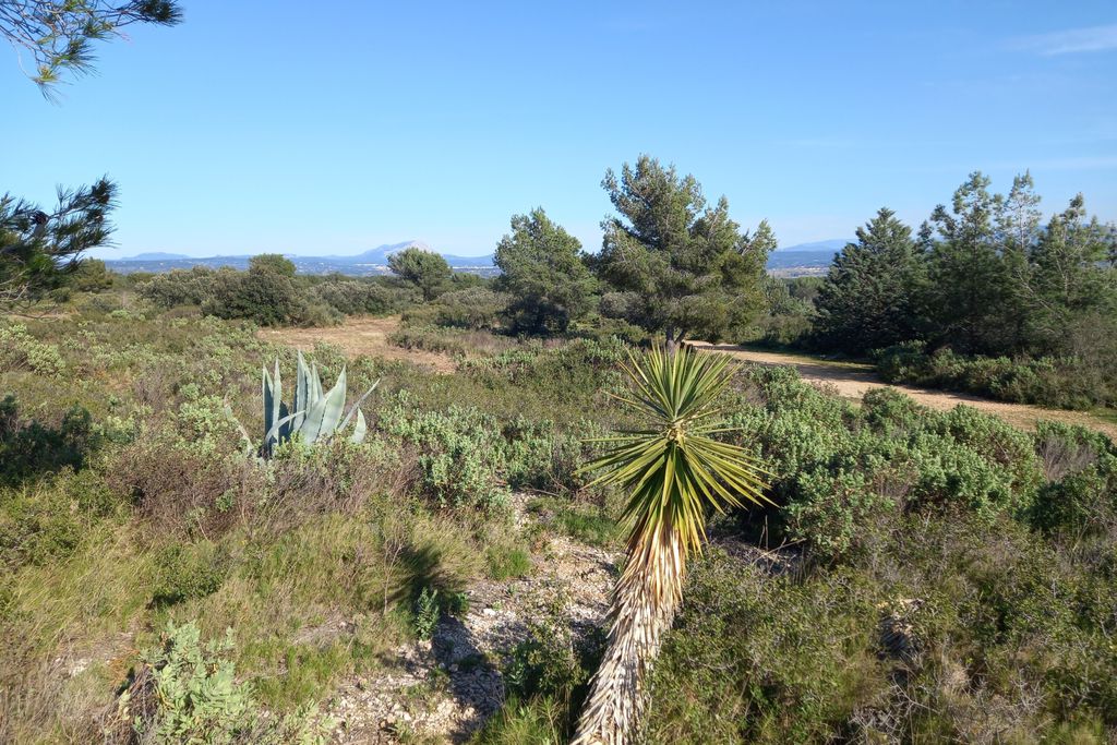 Les Terrasses de Ventabren 19 - Gallery