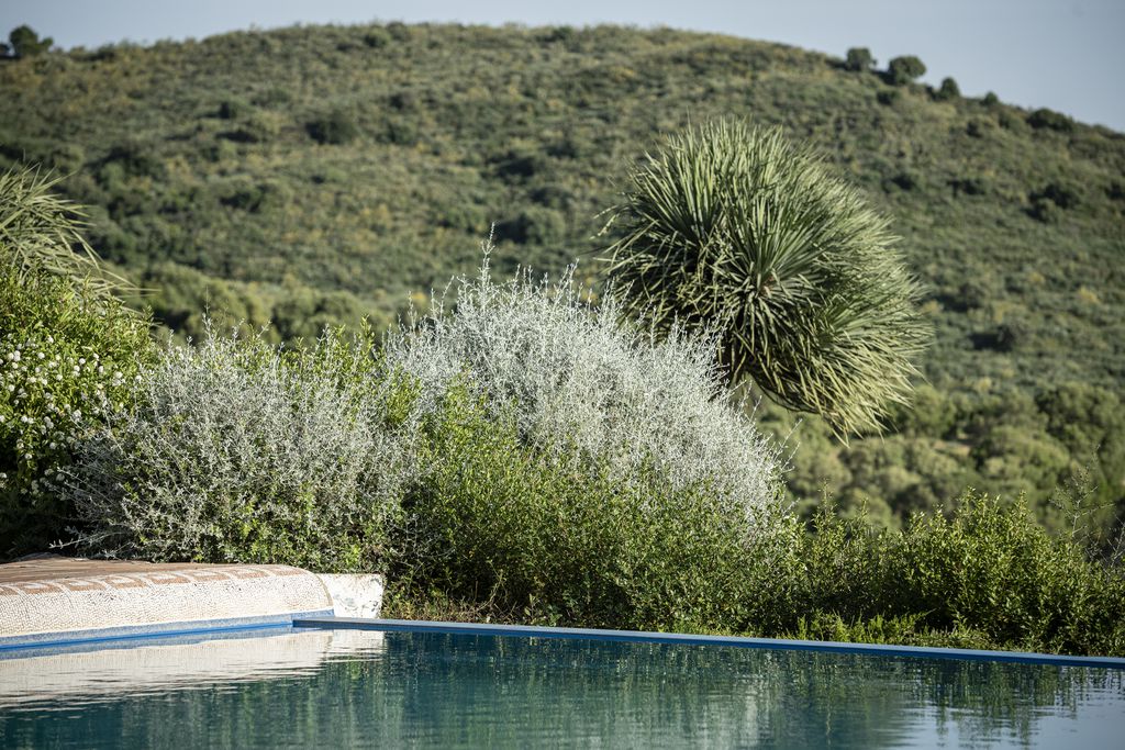 Cortijo Genesis 9 - Gallery