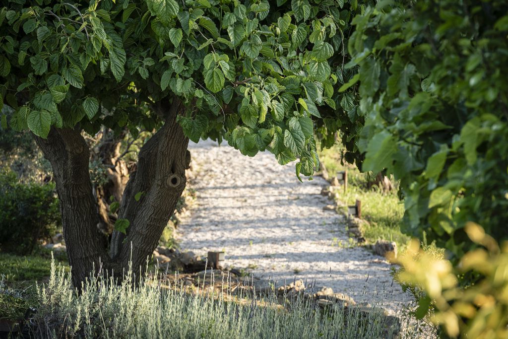 Cortijo Genesis 19 - Gallery