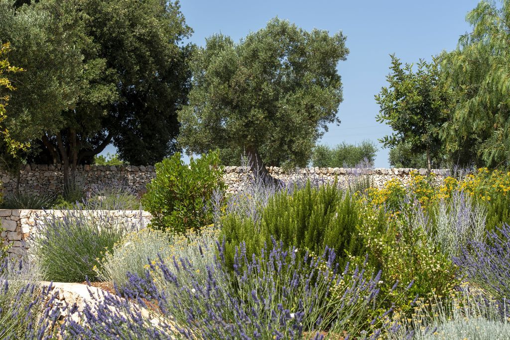 Mura di Levante 16 - Gallery