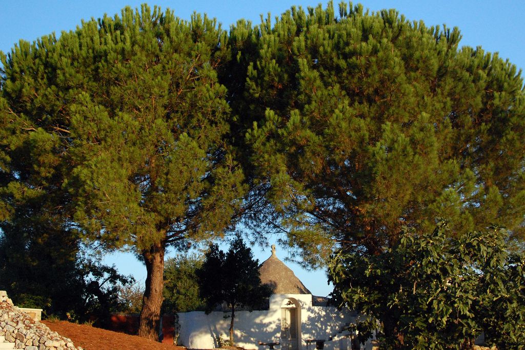 La Vigna 20 - Gallery