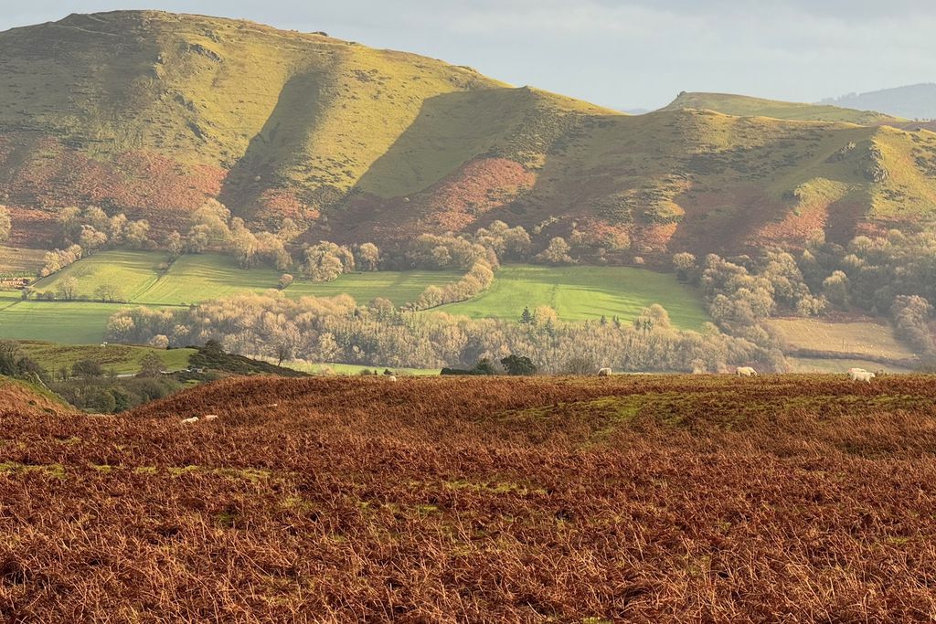 Middle Farm & Cottages: Gooseyard Cottage 13 - Gallery