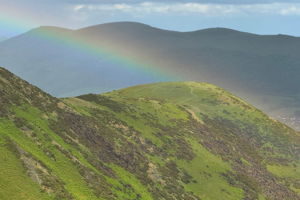 Middle Farm & Cottages: Gooseyard Cottage 14 - Gallery