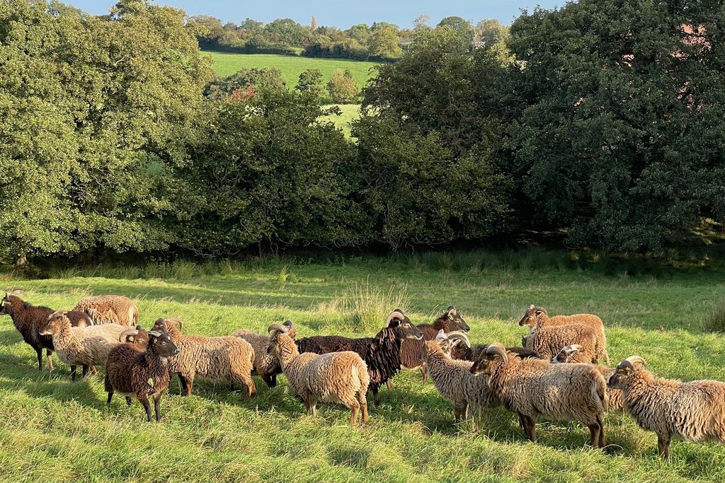 Middle Farm & Cottages: Daisy's Place 15 - Gallery