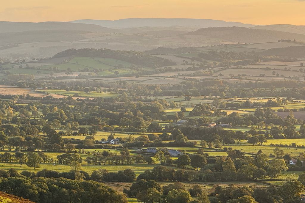 Middle Farm & Cottages: Daisy's Place 17 - Gallery