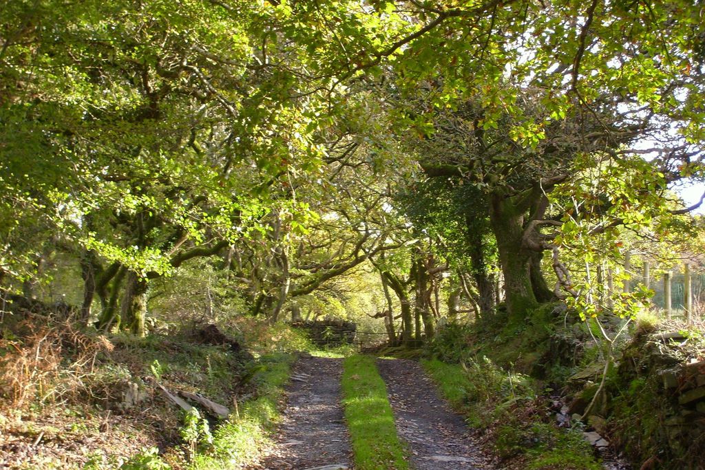 Tyn Llech 6 - Gallery