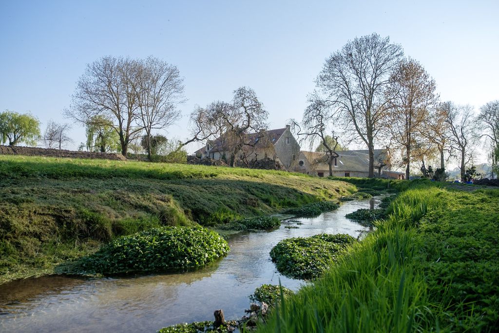 Domaine de Richebourg - La Cour du Moulin 12 - Gallery