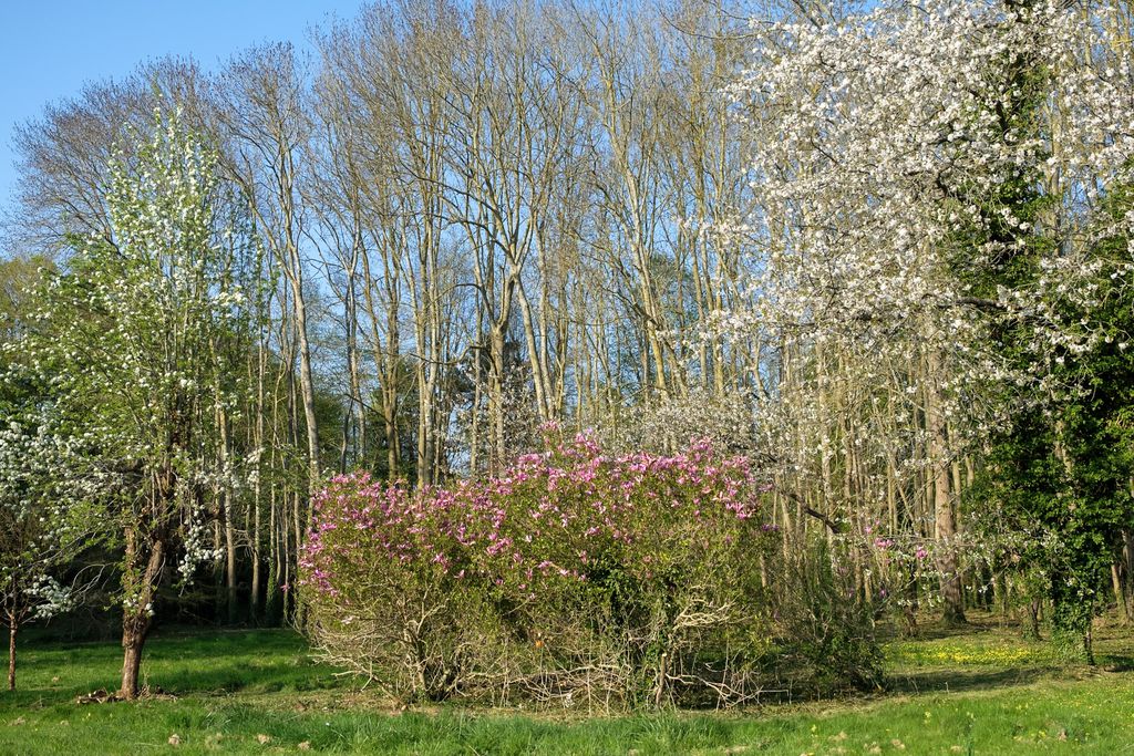 Domaine de Richebourg - La Cour du Moulin 13 - Gallery