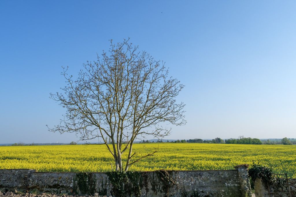 Domaine de Richebourg - La Cour du Moulin 17 - Gallery