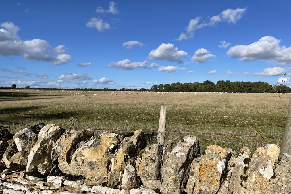 Abbey Home Farm: The Cart Shed 4 - Gallery
