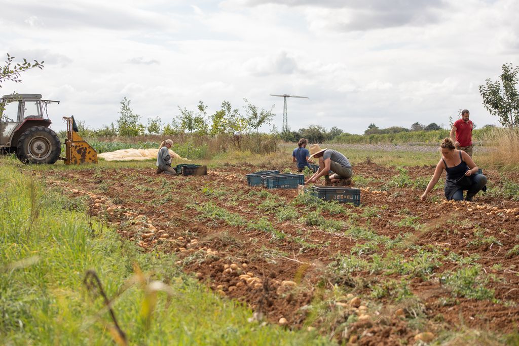 Abbey Home Farm: The Cart Shed 15 - Gallery