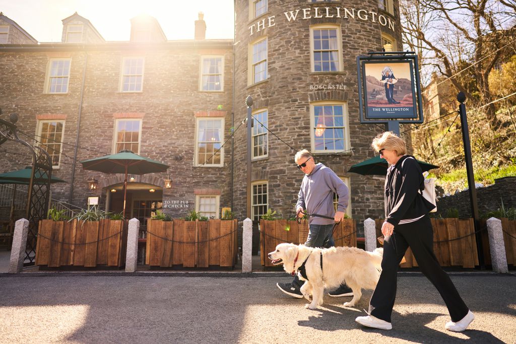 The Wellington 16 - Gallery