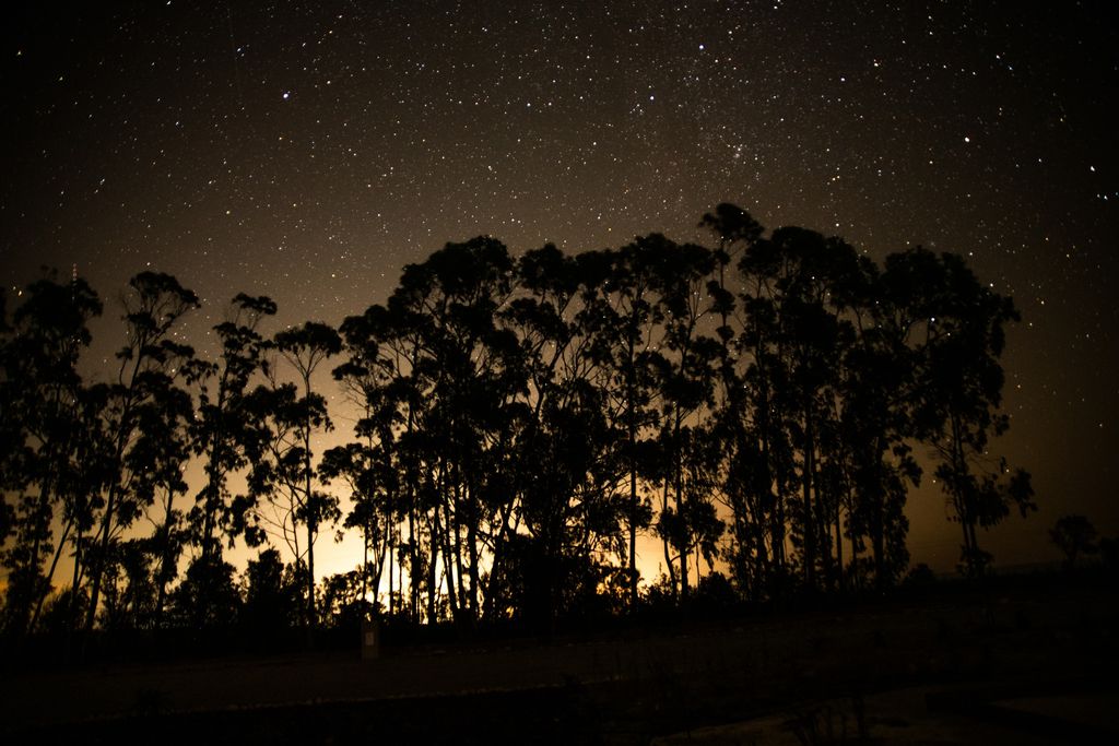 Vale das Estrelas B&B 20 - Gallery