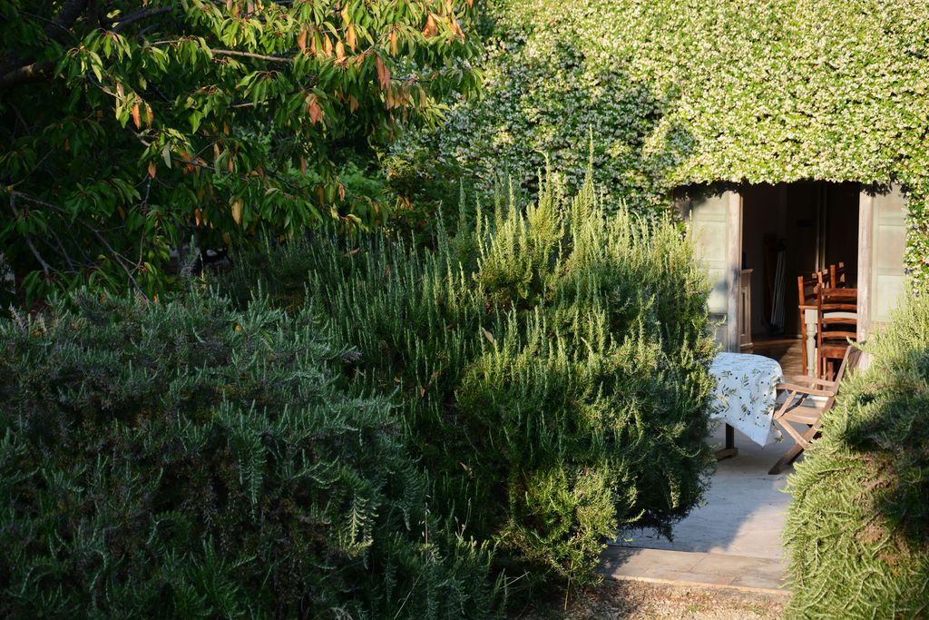 La Vigna 8 - Gallery