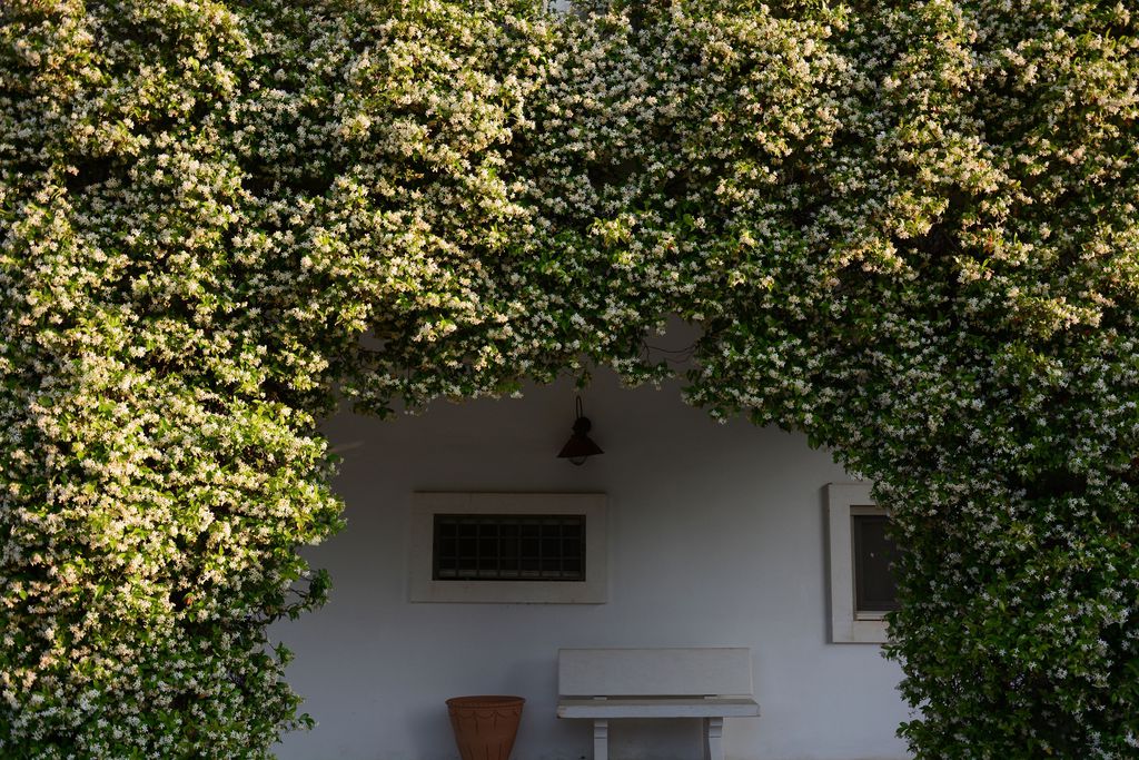 La Vigna 19 - Gallery