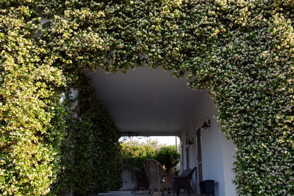 La Vigna 18 - Gallery