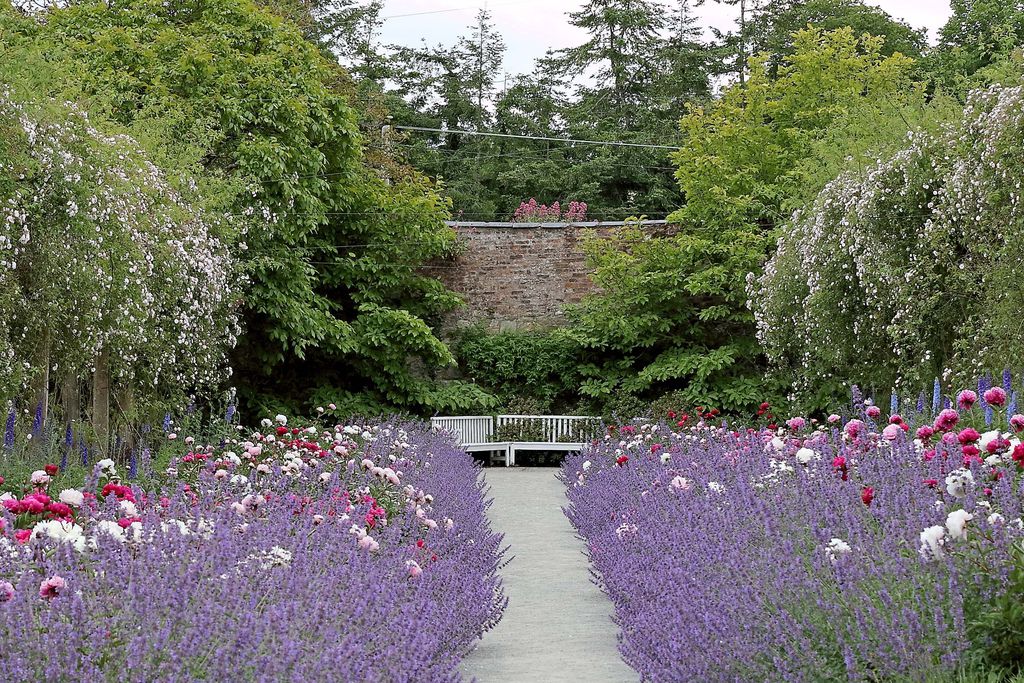 Damson Gate Lodge at Mount Congreve Gardens 16 - Gallery