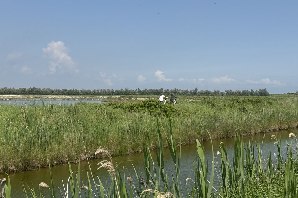 La Casa Turchina 15 - Gallery