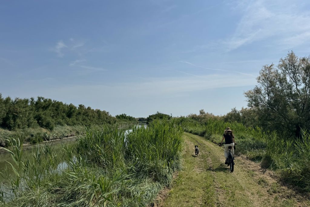 La Casa Turchina 17 - Gallery