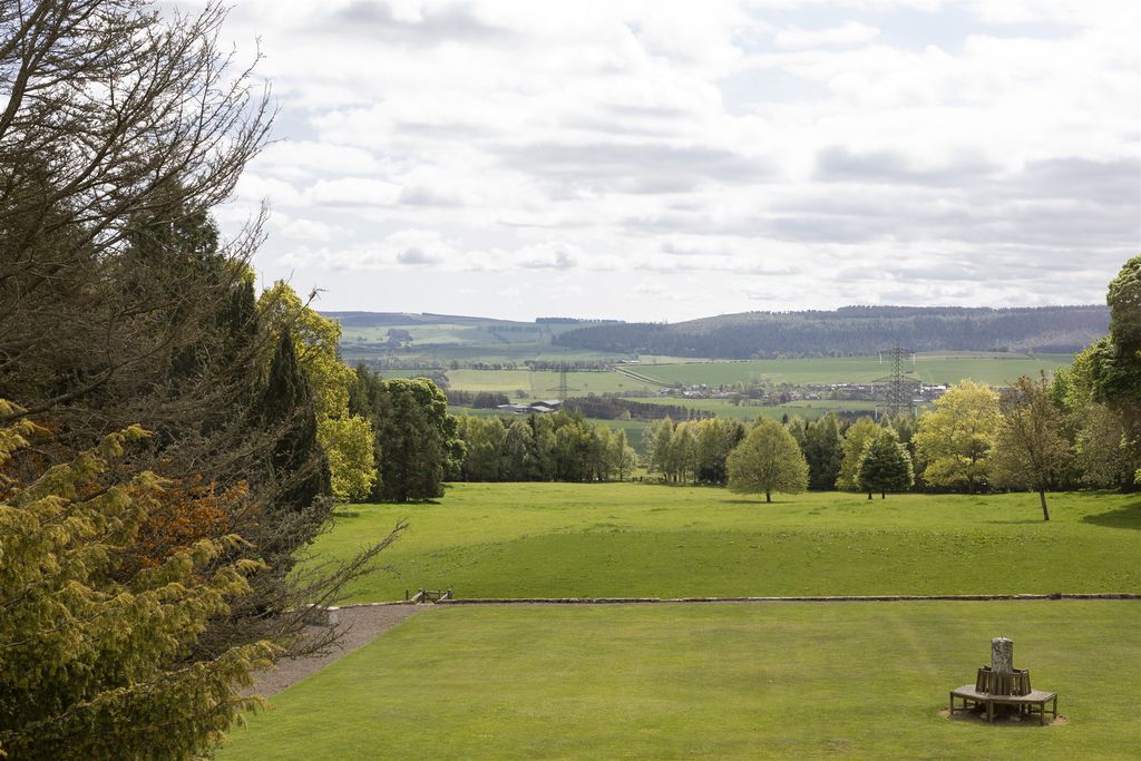 The Hall 19 - Gallery