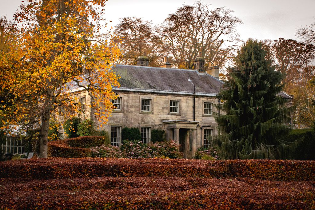 The Hall 1 - Gallery