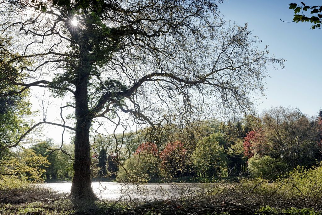 Pepperpot Lodges 15 - Gallery