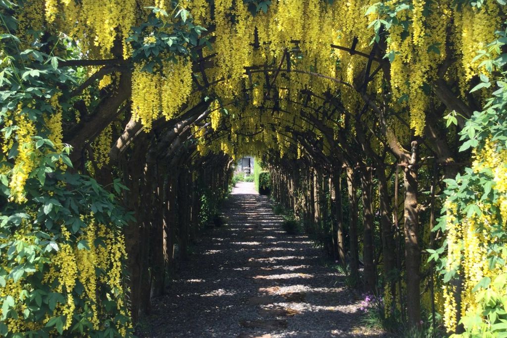 Stable Cottage 17 - Gallery