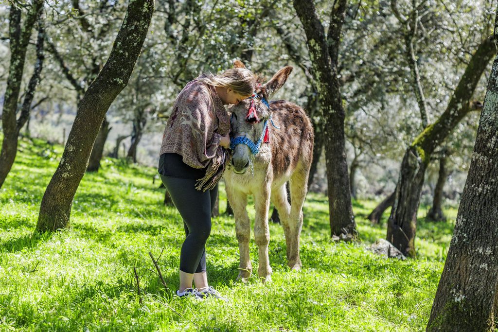 The Olive Mill 3 - Gallery