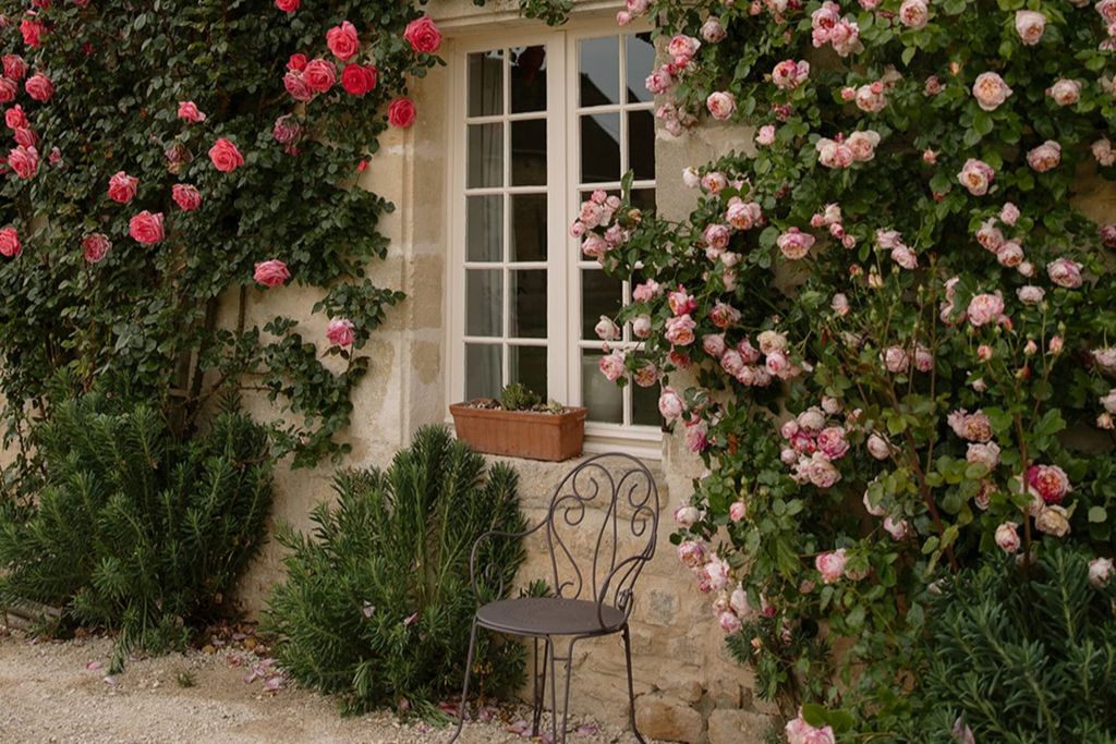 Château de Courtomer - The Farmhouse 18 - Gallery