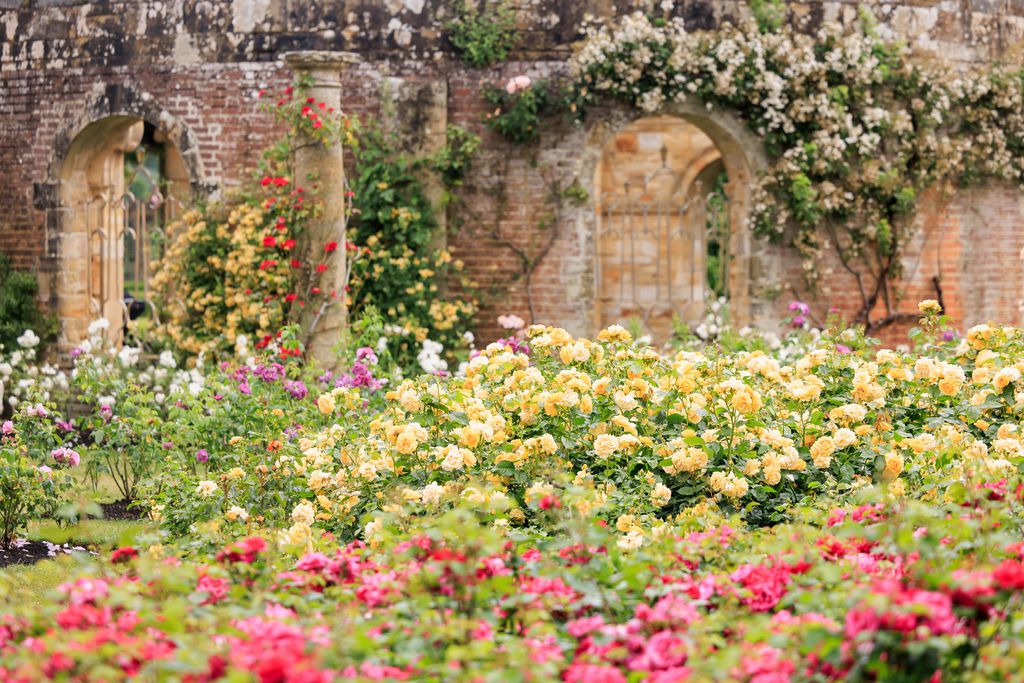 Medley Court at Hever Castle 2 - Gallery
