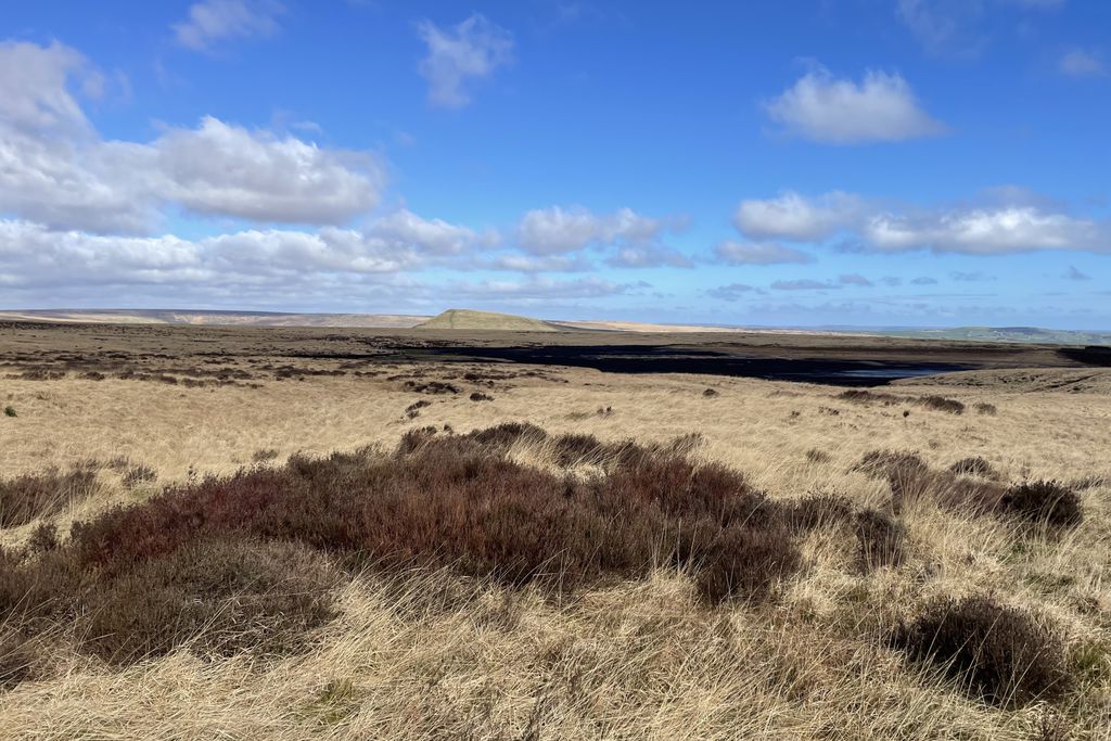 Hey Farm Barn 15 - Gallery