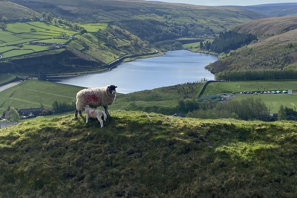 Hey Farm Barn 17 - Gallery