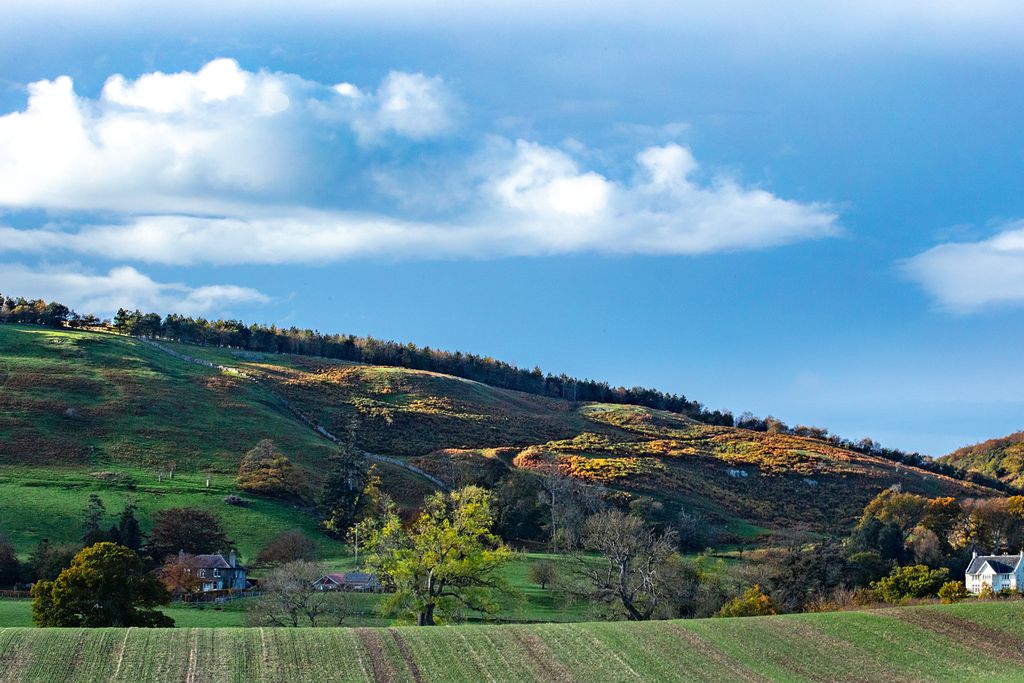 Yearle House 16 - Gallery