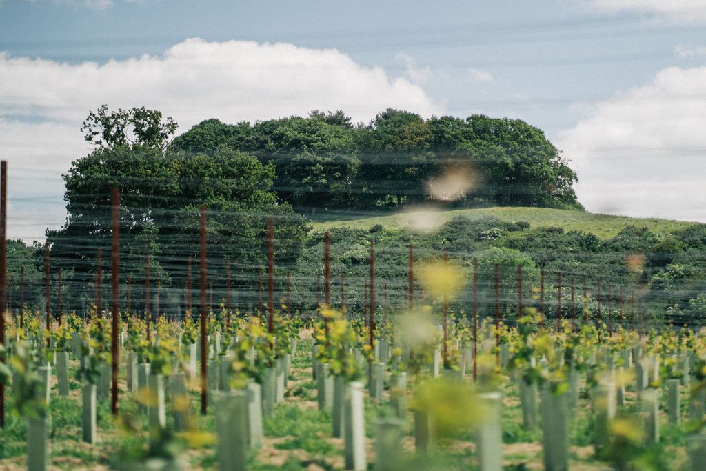 The Coach House 19 - Gallery