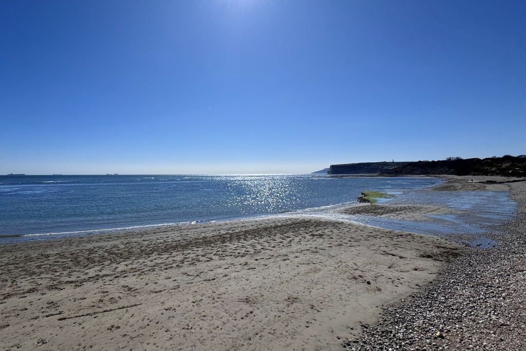 Woodlands 19 - Gallery