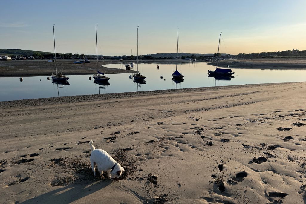 Woodlands 20 - Gallery