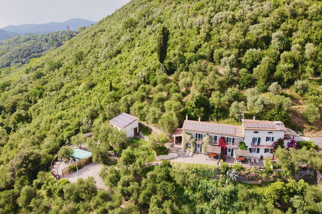 La Lucertola 1 - Gallery