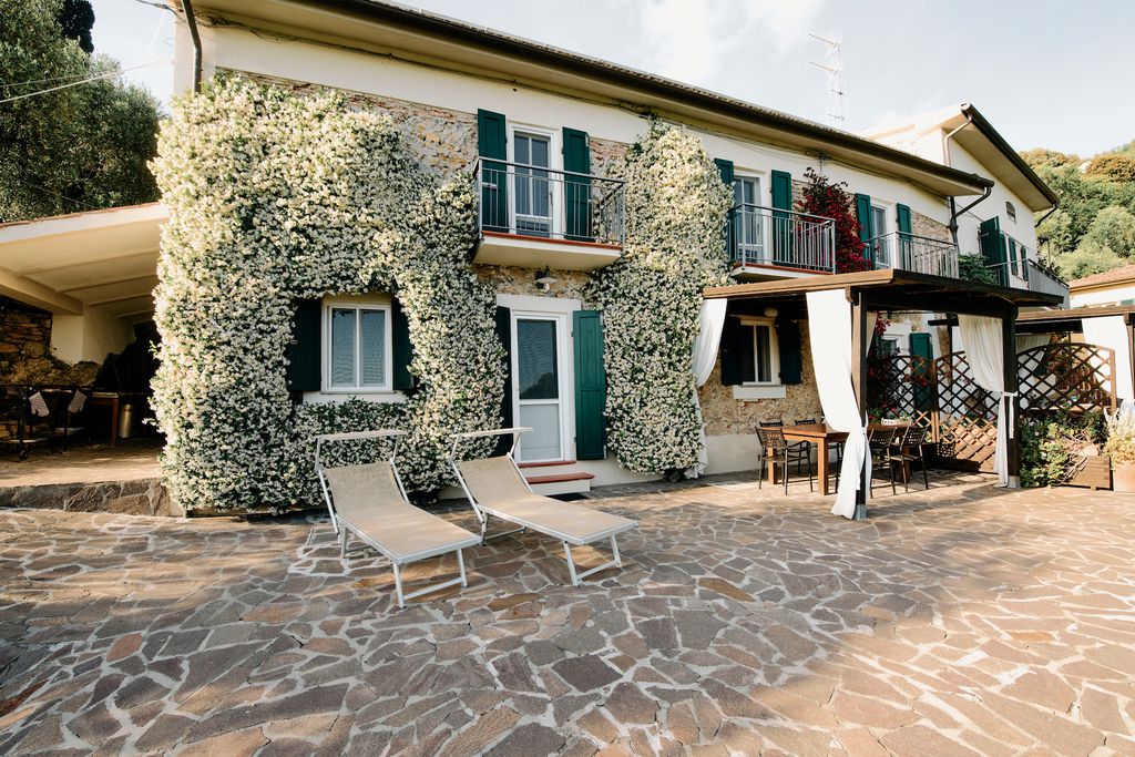 La Lucertola 2 - Gallery