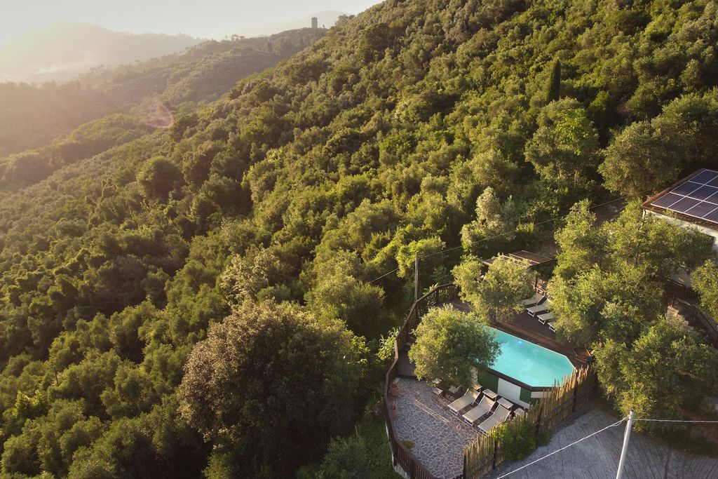 La Lucertola 3 - Gallery