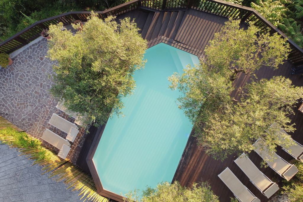 La Lucertola 4 - Gallery