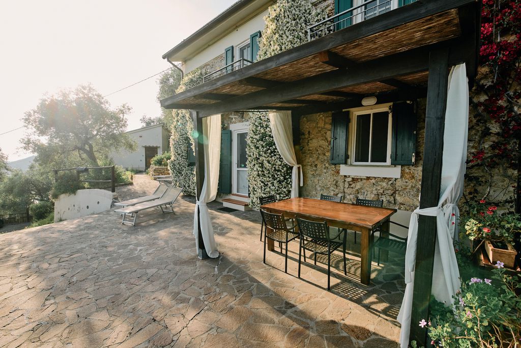 La Lucertola 5 - Gallery