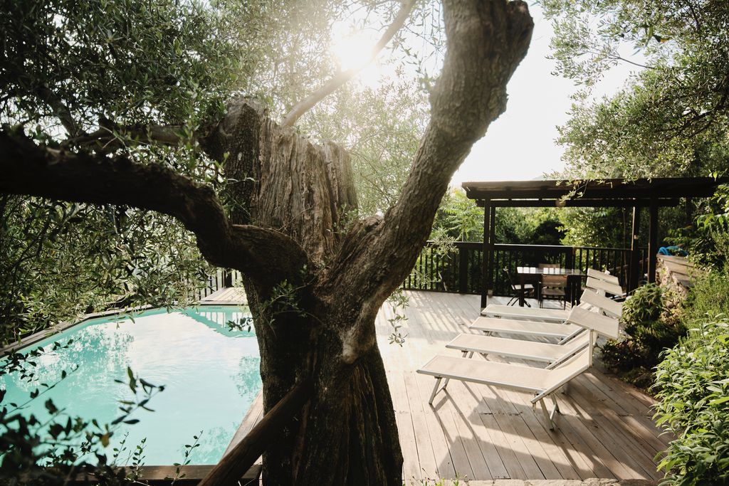 La Lucertola 14 - Gallery