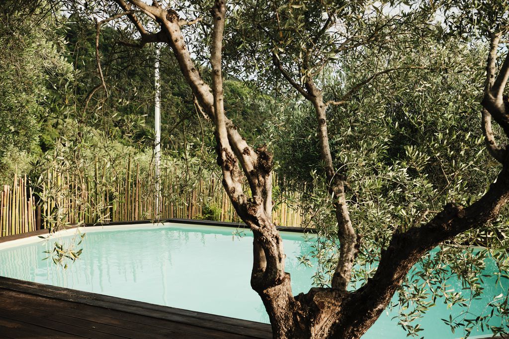 La Lucertola 16 - Gallery