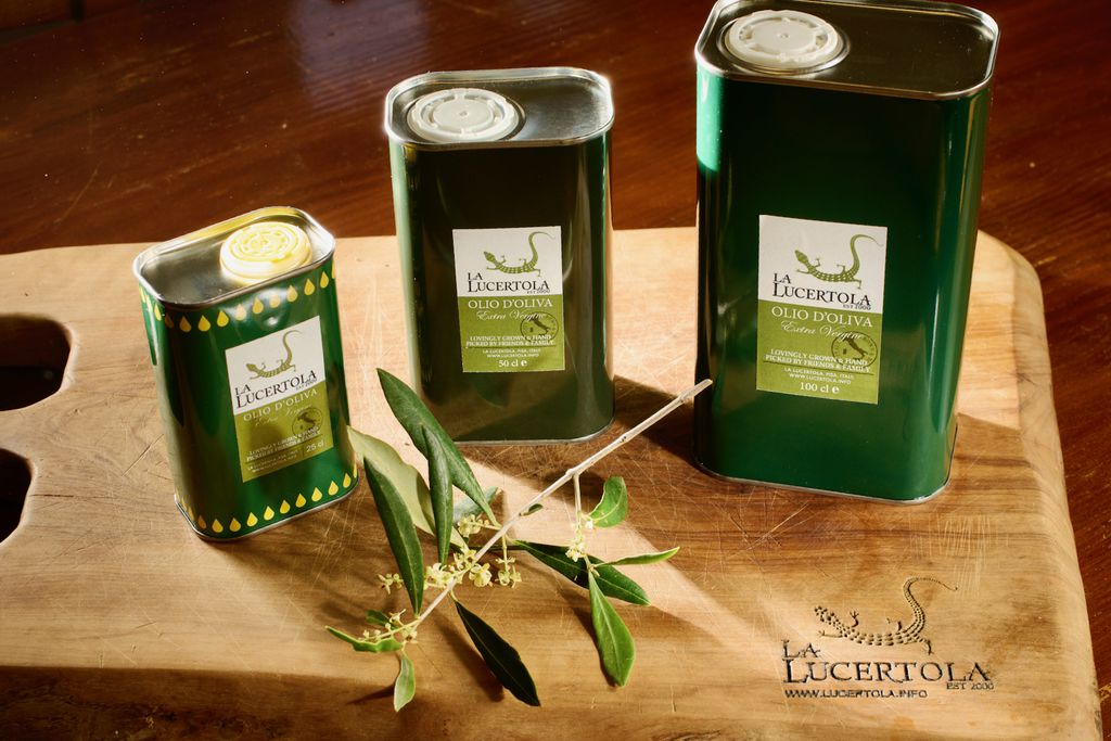 La Lucertola 20 - Gallery