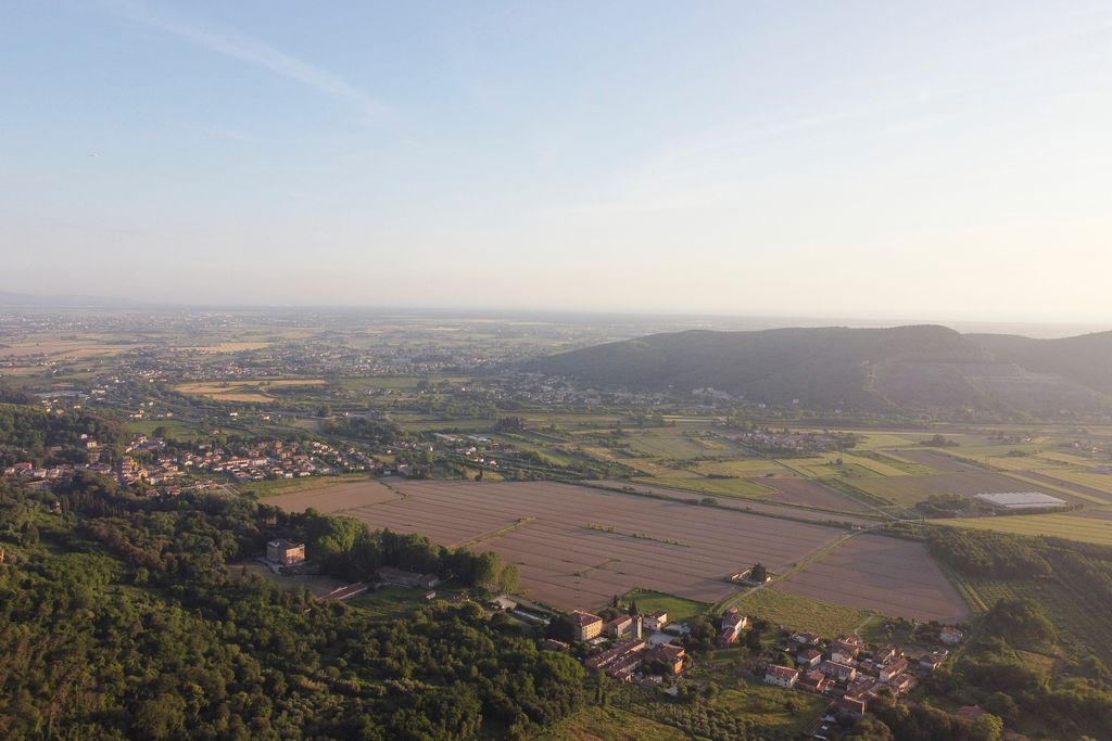 La Lucertola 20 - Gallery