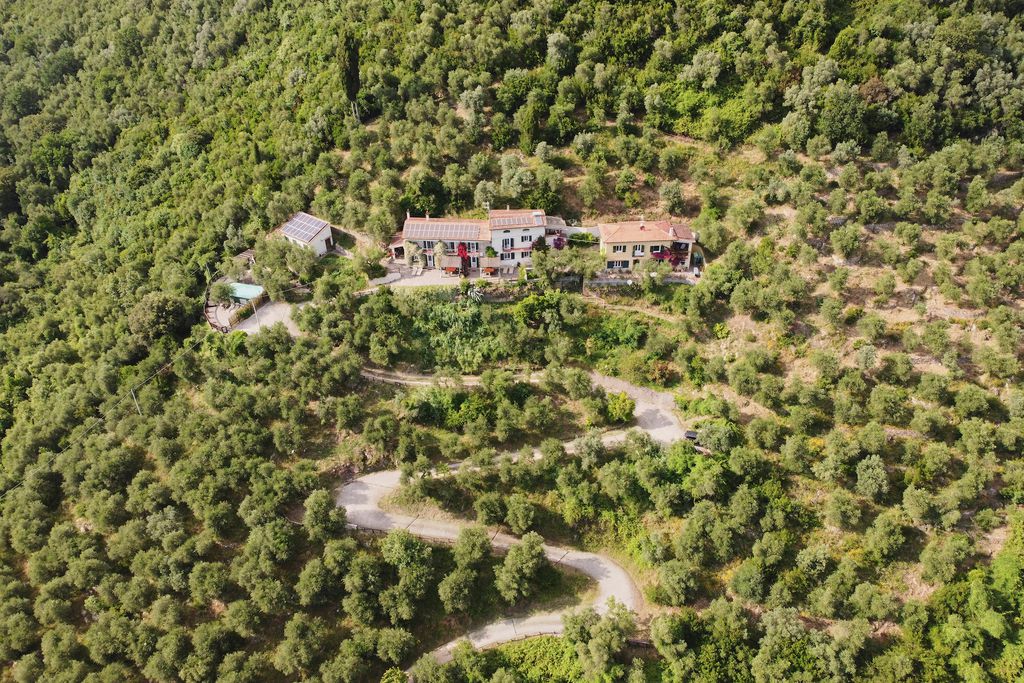 La Lucertola 20 - Gallery